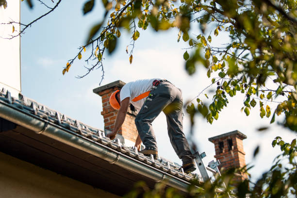 Quick and Trustworthy Emergency Roof Repair Services in Petersburg, VA