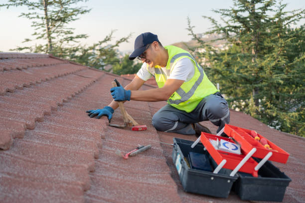 Best Metal Roofing Contractor  in Petersburg, VA
